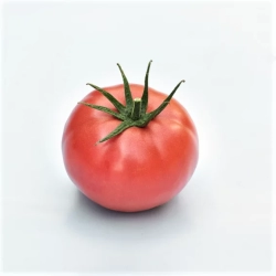 Pomidor-Hapynet--1000-N